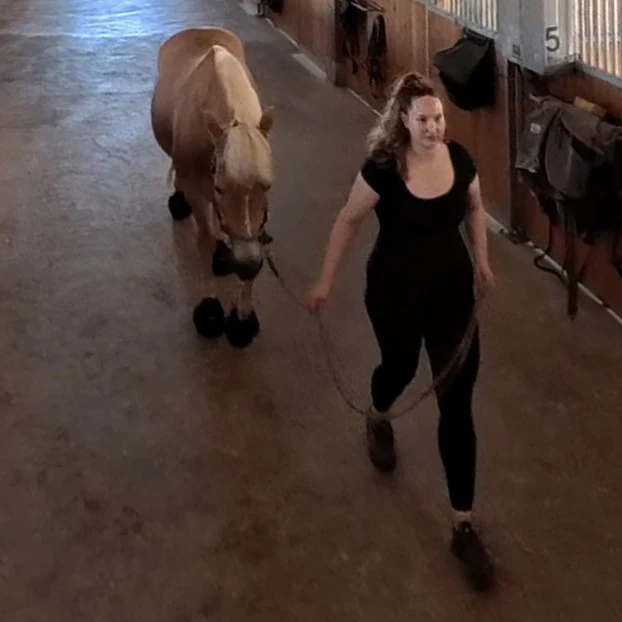 Consteed Ganganalyse mit Sensor-Hufschuh